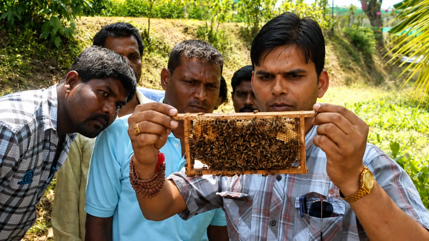 Agriculture & Livelihoods