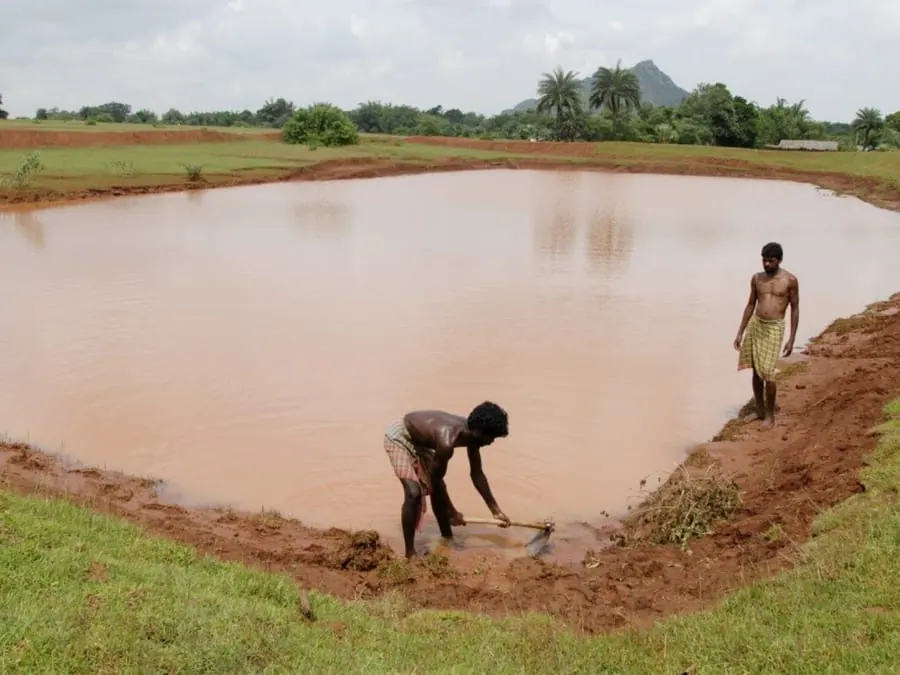 Farm pond excavation