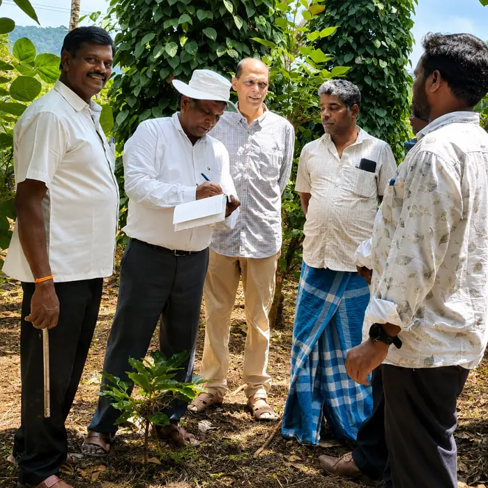 Scoping Study for the JIVA Programme (NABARD)