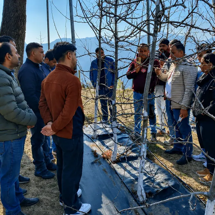 Capacity Building in Post-Harvest Loss Management (PHLM) in Horticulture Crops for Climate Resilient and Gender Inclusive Value Chains
